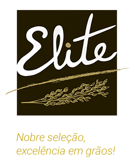 Arroz Elite