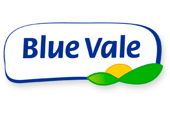 Logo Blue Vale